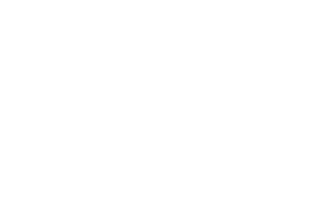 EVC electronic